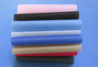 汕头涤纶（PET）无纺布是什么